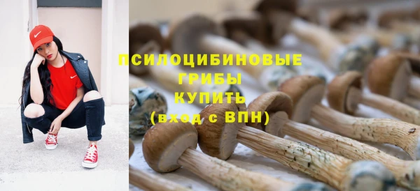 дурь Аркадак
