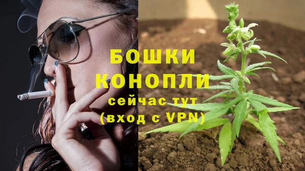 дурь Аркадак